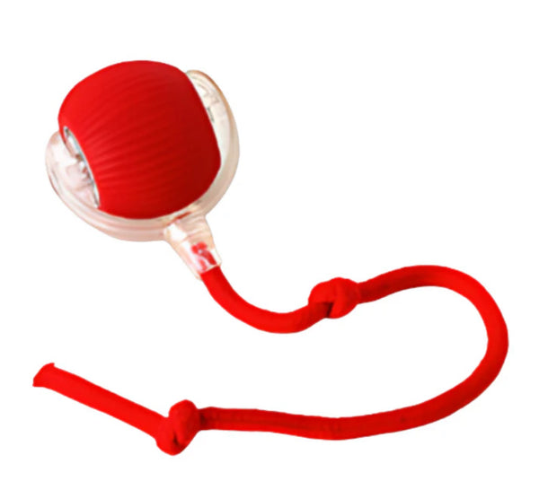 Smart Roll Dog Fun Ball